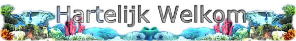 Hartelijk Welkom
